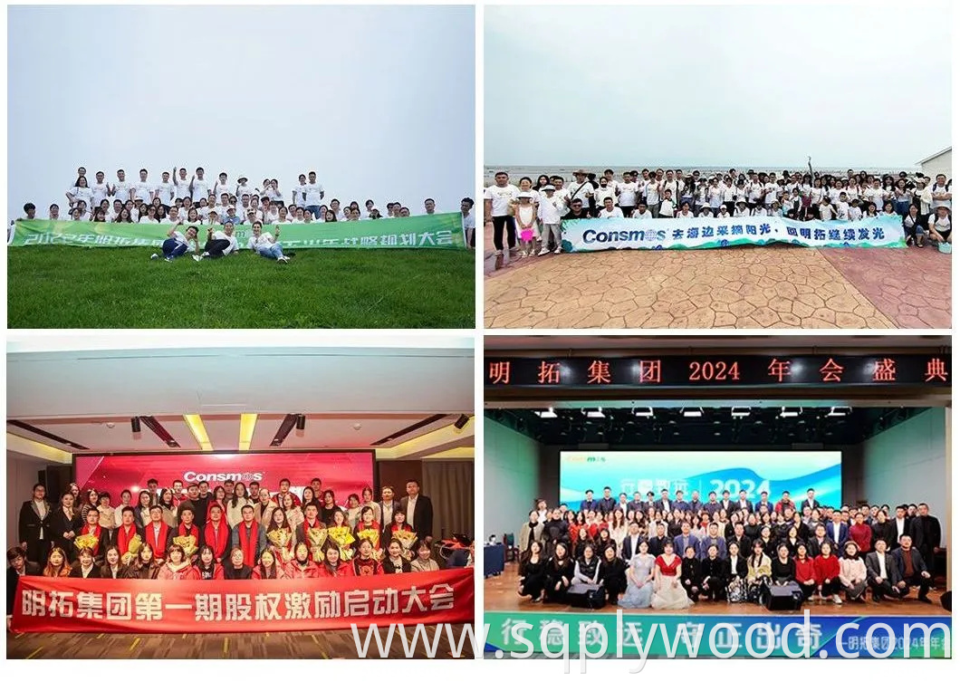 Linyi Factory 2-25mm Melamine Slatwall MDF Fiber Board Slot/Slotted Plain MDF for Furniture